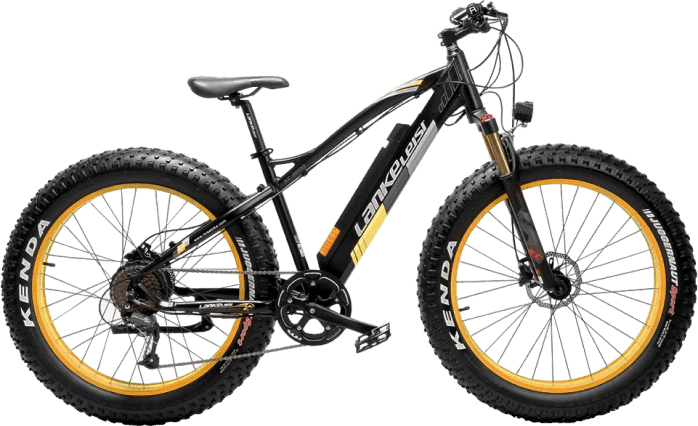 Fat Bike Lankeleisi